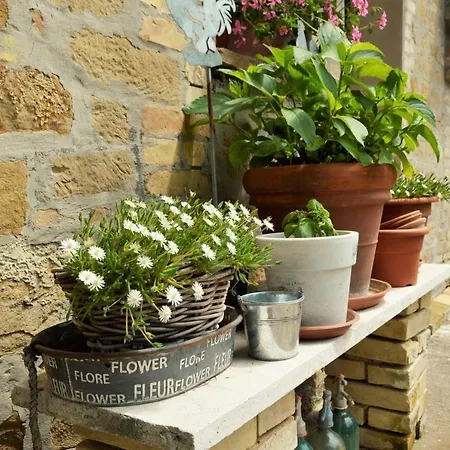 Rimo Country House * Penna San Giovanni